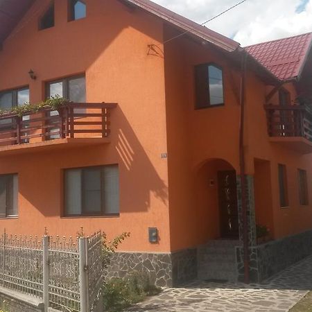 Pensiunea Adi Sapinta Săpânța Exterior photo