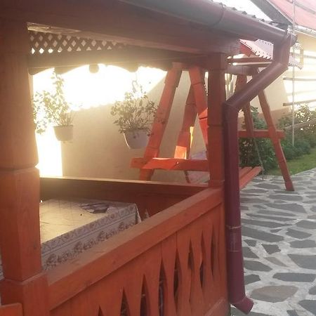 Pensiunea Adi Sapinta Săpânța Exterior photo