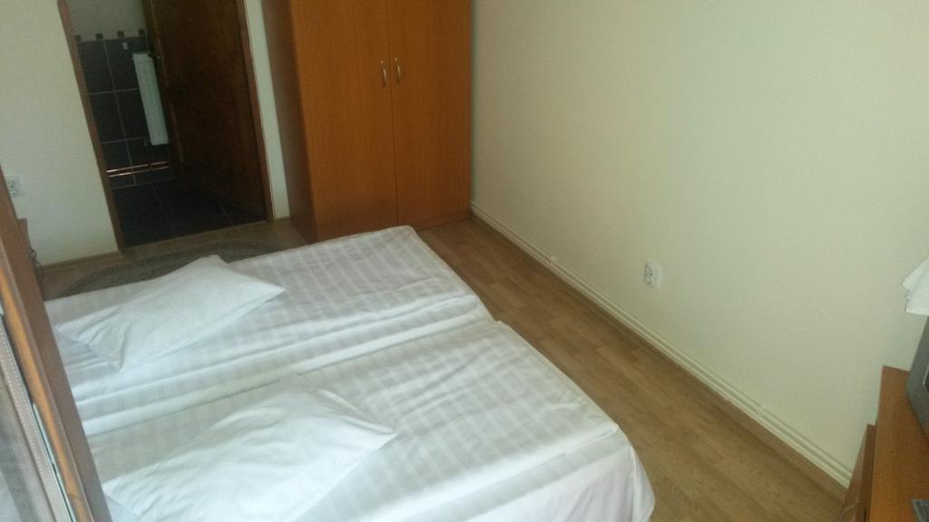 Pensiunea Adi Sapinta Săpânța Room photo