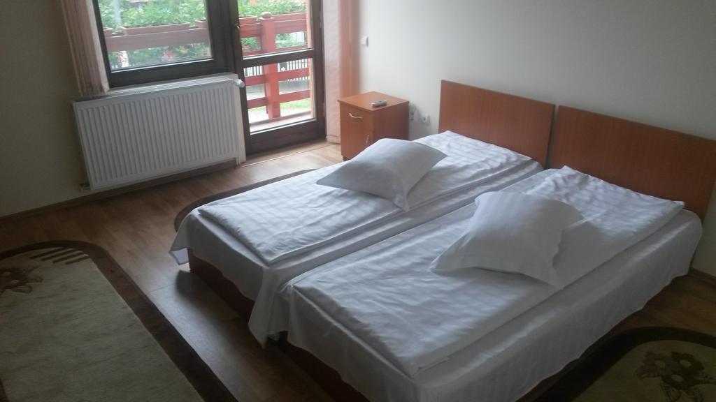 Pensiunea Adi Sapinta Săpânța Room photo