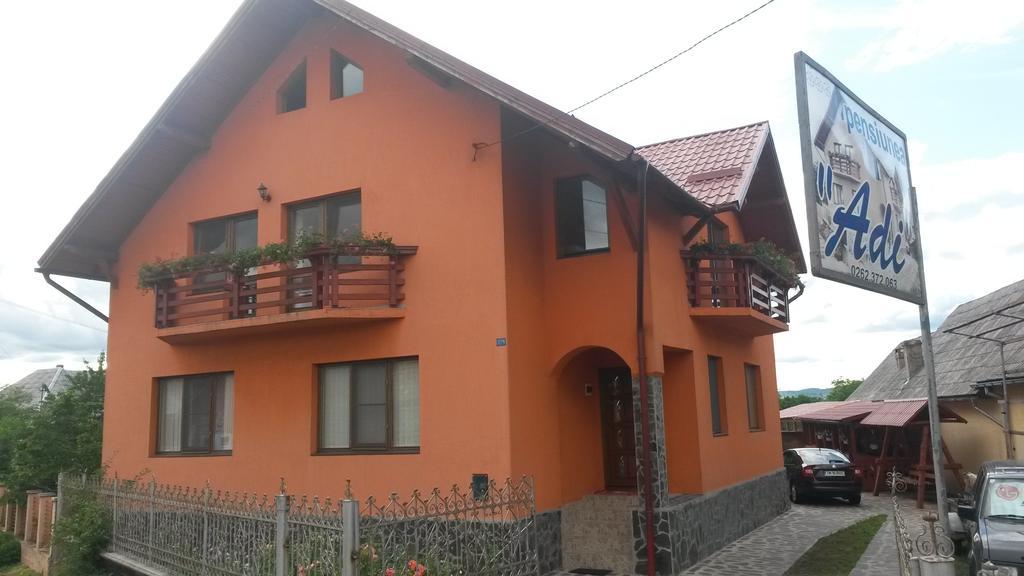 Pensiunea Adi Sapinta Săpânța Exterior photo