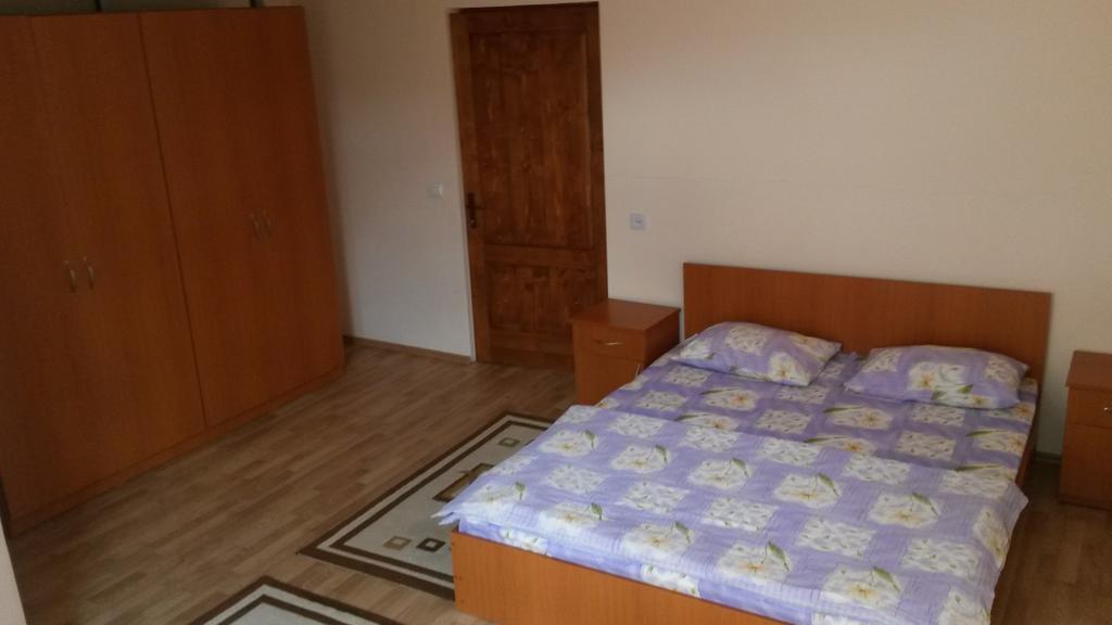 Pensiunea Adi Sapinta Săpânța Room photo